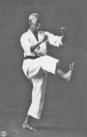 Reconstructing Old style Karate
